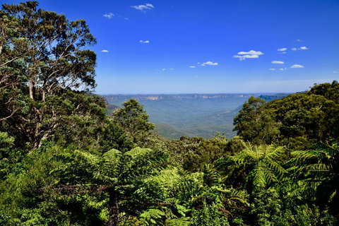 Dangal Gardens - Local Tourism 28