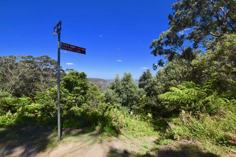 Dangal Gardens - Local Tourism 30