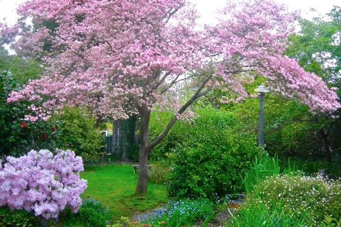 Dangal Gardens - Local Tourism 3