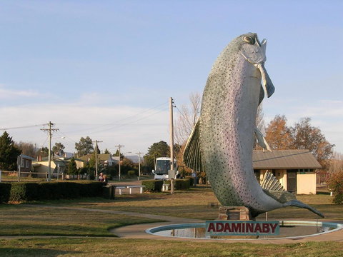 Cooma Motor Lodge Motel - Local Tourism 19