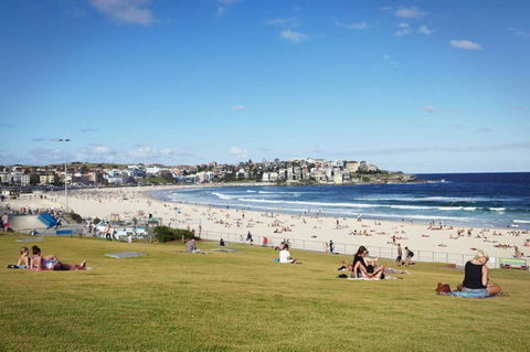BONDI BEACH PRIME 1 Bedroom + Sunroom - Accommodation Australia 11