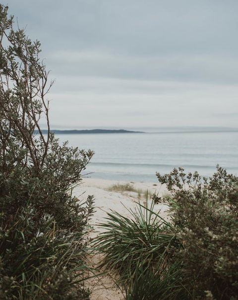 Salthouse Berrara - Australia Shopping 18