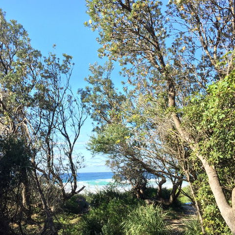 Salthouse Berrara - Australia Shopping 22