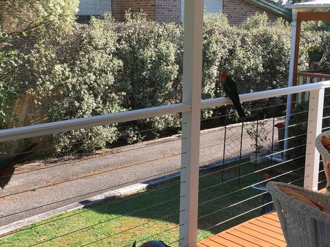 The Best Exotic Magnolia Cottage - Australia Shopping 15