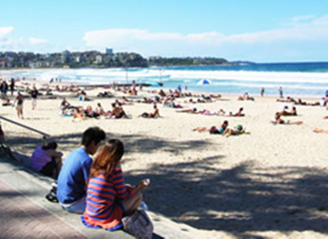 Manly Beachside Apartments - Local Tourism 19