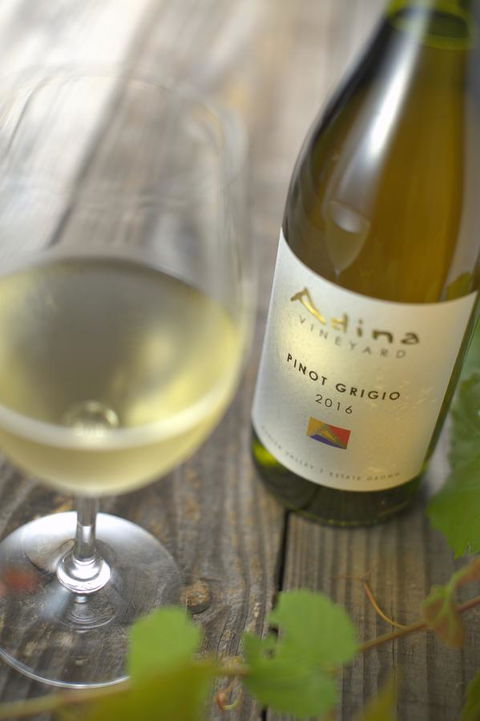 Adina Vineyard - Australia Shopping 7