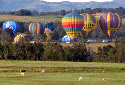 Adina Vineyard - Australia Shopping 9