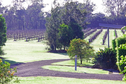Adina Vineyard - Australia Shopping 14