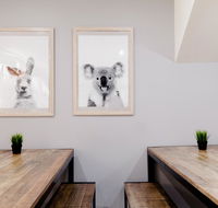 Mad Monkey Backpackers on Broadway - Accommodation Australia