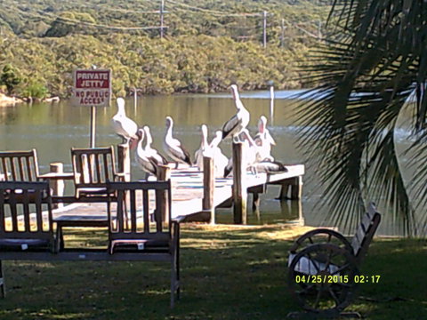 Pelican H2O One & Two Bedroom Apartments - Accommodation Australia 9