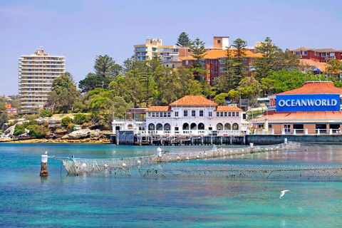 STUNNING MANLY VIEWS - Local Tourism 13
