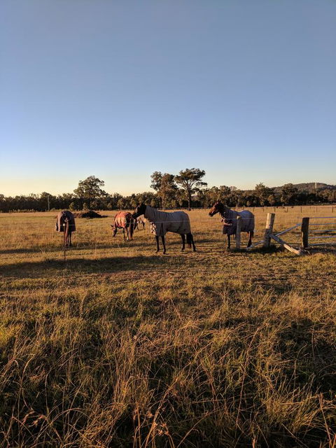 Madigan Wine Country Cottages - Accommodation Australia 8