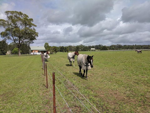 Madigan Wine Country Cottages - Accommodation Australia 9