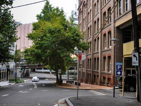 Classic 2 BR Apt In Pyrmont - Local Tourism 23