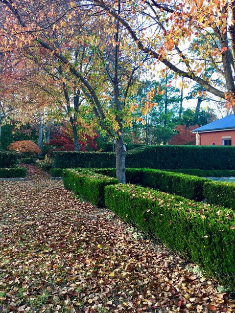 Chanticleer Gardens Barn Cottage With A Pool - Accommodation Australia 37