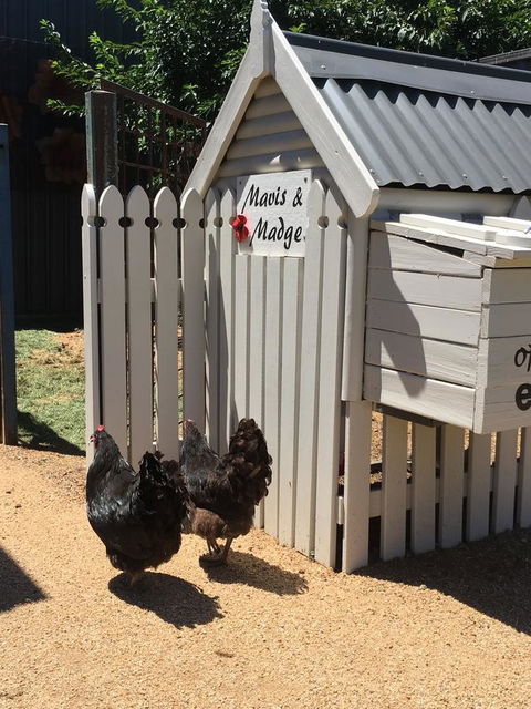 Thelma's Temora - Local Tourism 12