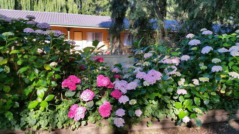 Moruya Motel - Accommodation Australia 28