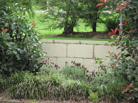 Moruya Motel - Accommodation Australia 16