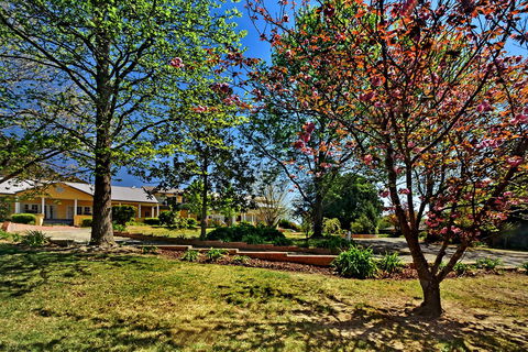 Bundanoon Lodge - Australia Shopping 16