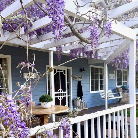 Bowral Escape - Accommodation Australia 1