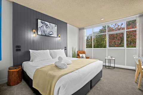 City Centre Motel Armidale - Accommodation Australia 8