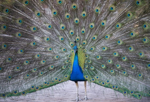 DoubleTree By Hilton Alice Springs - Accommodation Australia 20