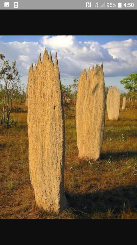 'Tropical Oasis - Darwin NT - Accommodation Australia 33