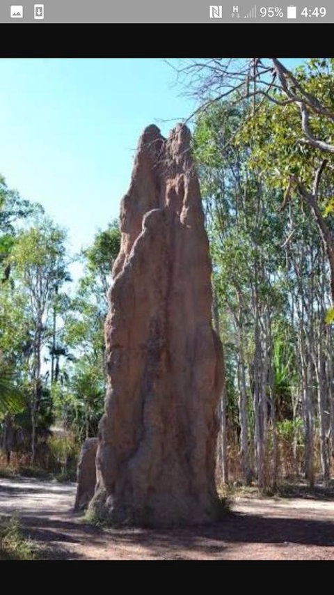 'Tropical Oasis - Darwin NT - Accommodation Australia 31