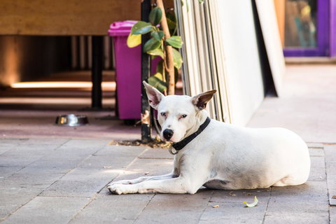 Jump Inn Alice Budget Accommodation - Australia Shopping 43