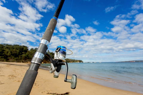 Ingenia Holidays Eden Beachfront - Bed n Breakfasts 23