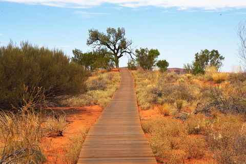 Discovery Resorts - Kings Canyon - Accommodation Australia 27