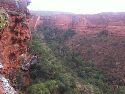 Discovery Resorts - Kings Canyon - Accommodation Australia 34