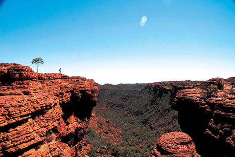 Discovery Resorts - Kings Canyon - Accommodation Australia 38