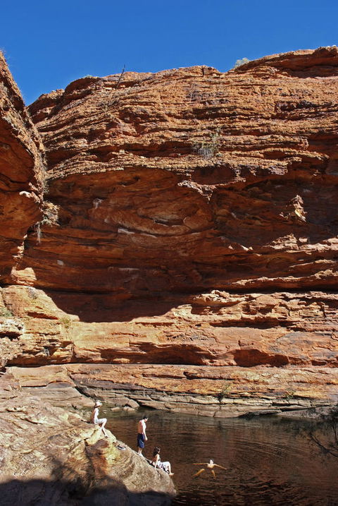 Discovery Resorts - Kings Canyon - Accommodation Australia 44