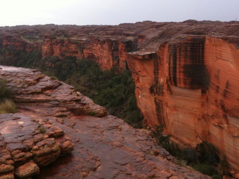 Discovery Resorts - Kings Canyon - Accommodation Australia 35