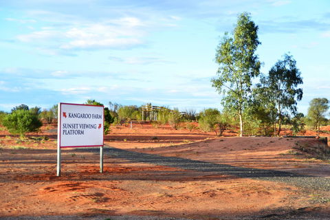 Erldunda Desert Oaks Resort - Accommodation Australia 28