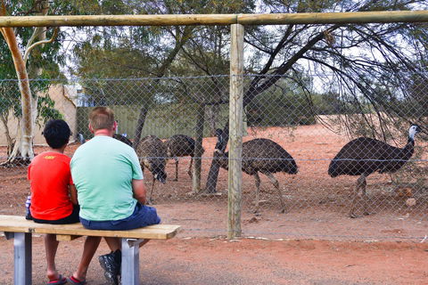 Erldunda Desert Oaks Resort - Accommodation Australia 21