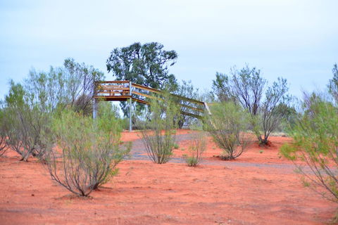 Erldunda Desert Oaks Resort - Accommodation Australia 42