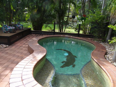 DARWIN'S SHADY ACRES RETREAT - Accommodation Australia 13