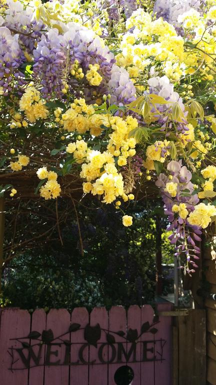 Bowral Road Bed And Breakfast - Accommodation Australia 0
