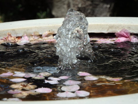 Bowral Road Bed And Breakfast - Accommodation Australia 2