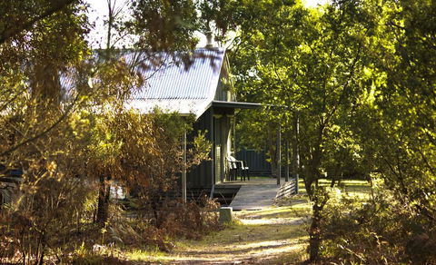 Brodribb River Rainforest Cabins - Cabin 1 - Local Tourism 2