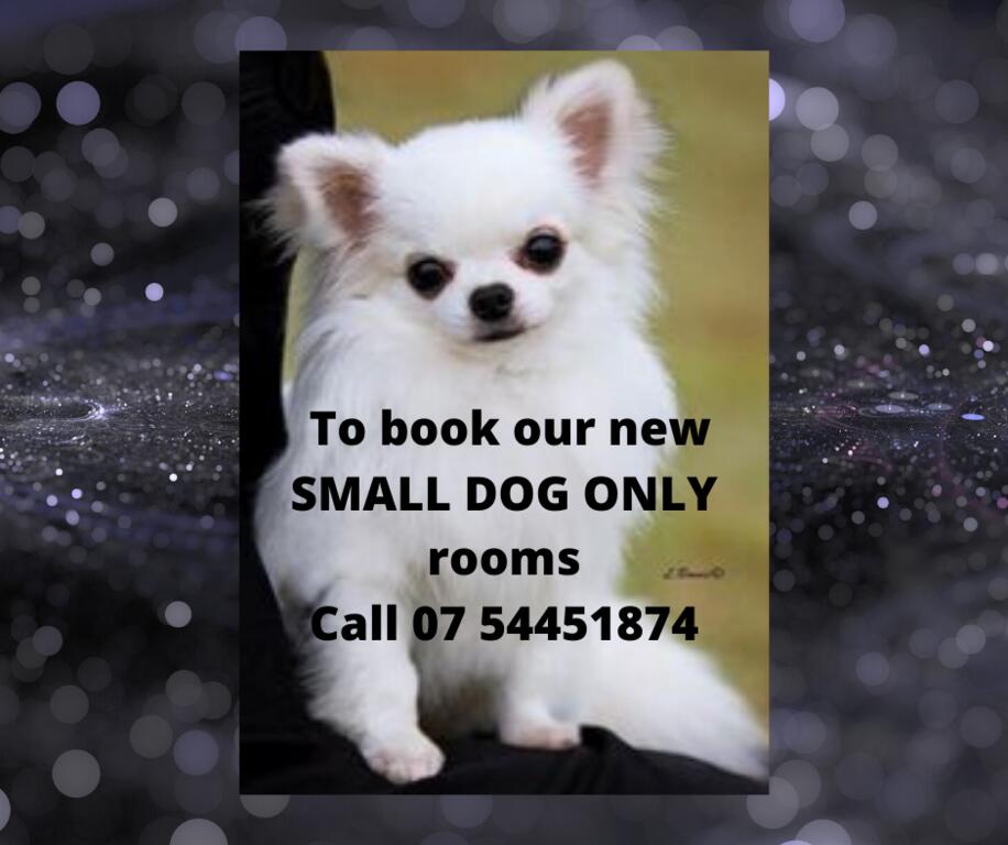 Tanawha QLD Accommodation Australia