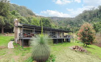 Cabbage Tree Farm - Seclusion and tranquillity