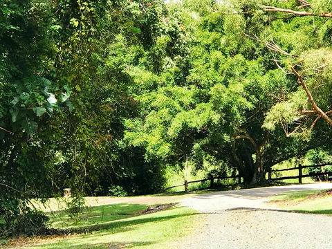 Cadaghi Cottage - Accommodation Australia 0