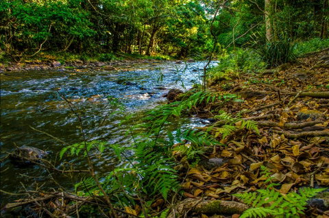 Cairns Homestead: A Peaceful Getaway - Accommodation Australia 3