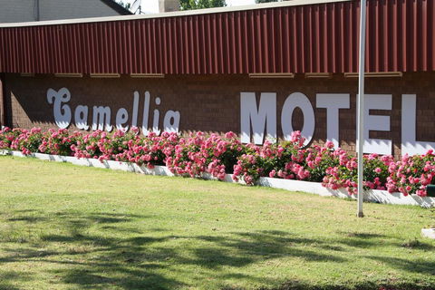 Camellia Motel - Australia Shopping 2