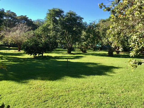 Camelot Cottages - Accommodation Australia 2