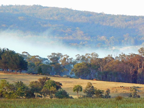Candlebark Retreat - Bed n Breakfasts 0