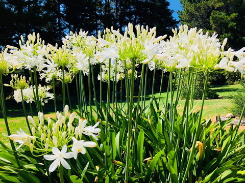 Carawah Ridge - Accommodation Australia 1